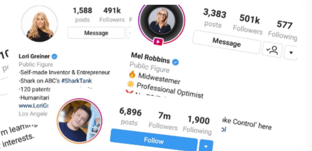 How Many People Have Blue Tick on Instagram